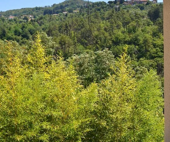 Torsivi Castiglione Chiavarese
