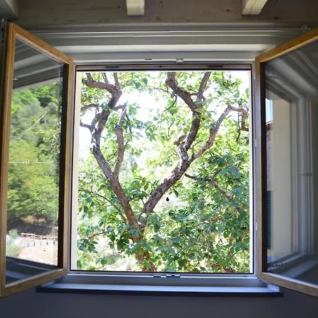 Feriegård Torsivi *