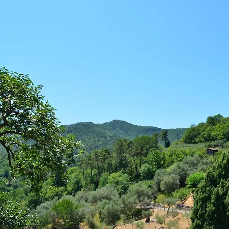 Torsivi Farm stay *