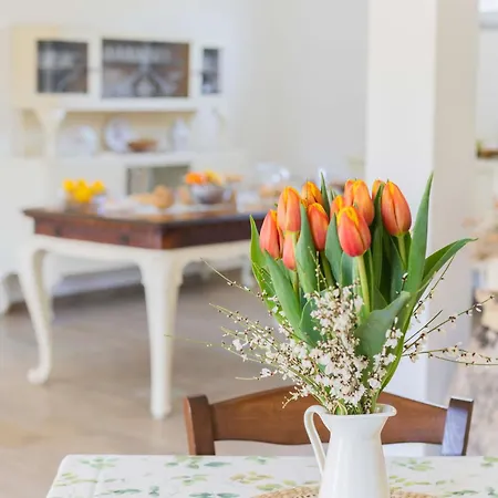 Feriegård Torsivi Castiglione Chiavarese